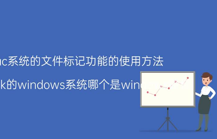 mac系统的文件标记功能的使用方法 macbook的windows系统哪个是windows徽标？